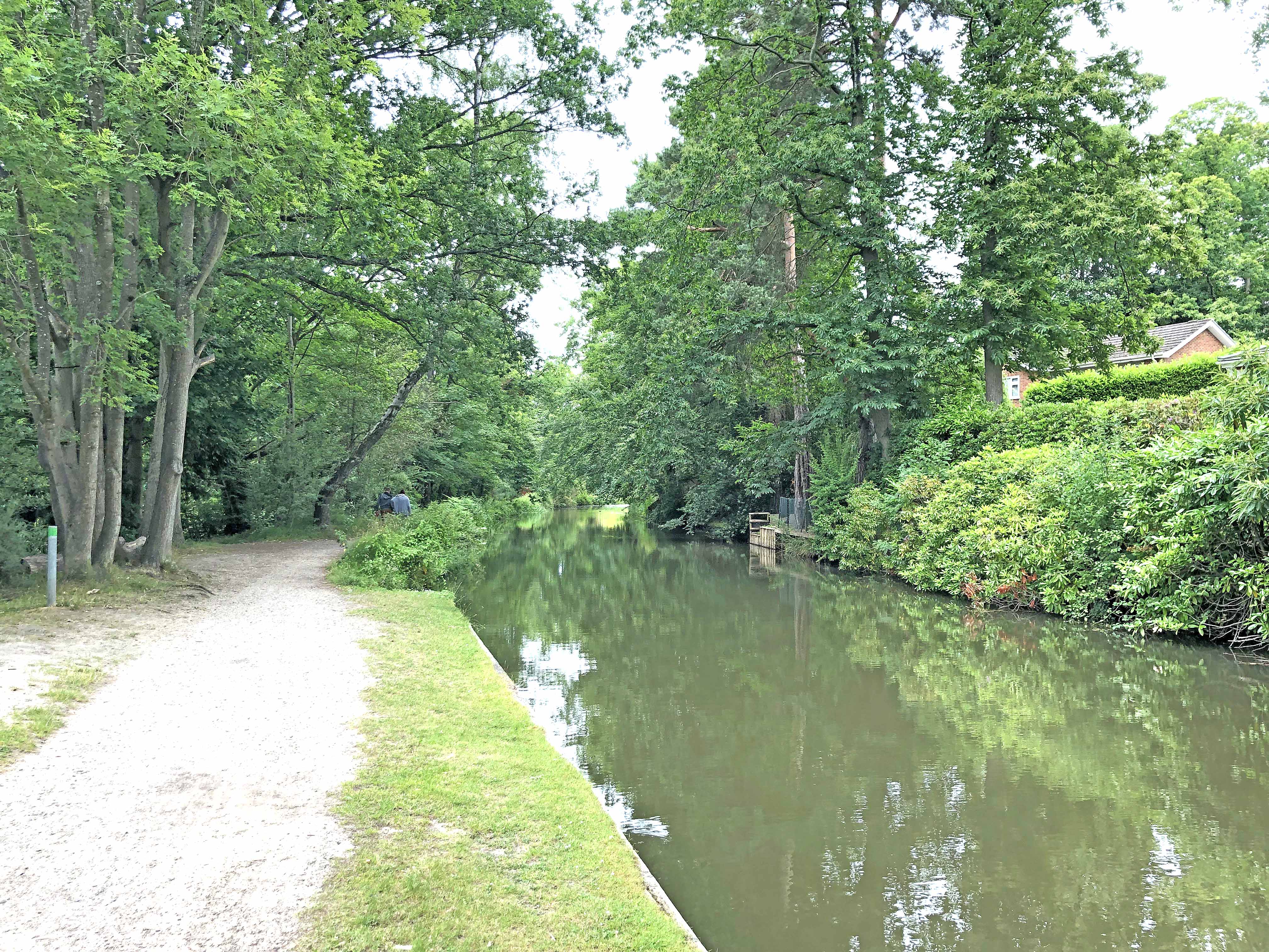 The Basingstoke Canal