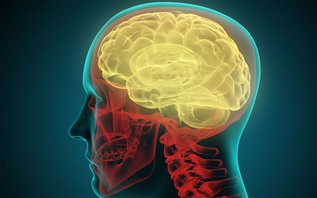 Picture of a Brain Diagram