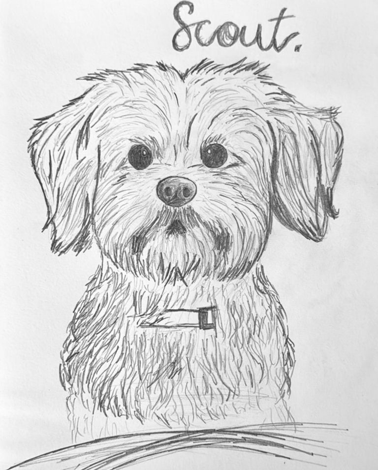 Graham's drawing of his dog, Scout