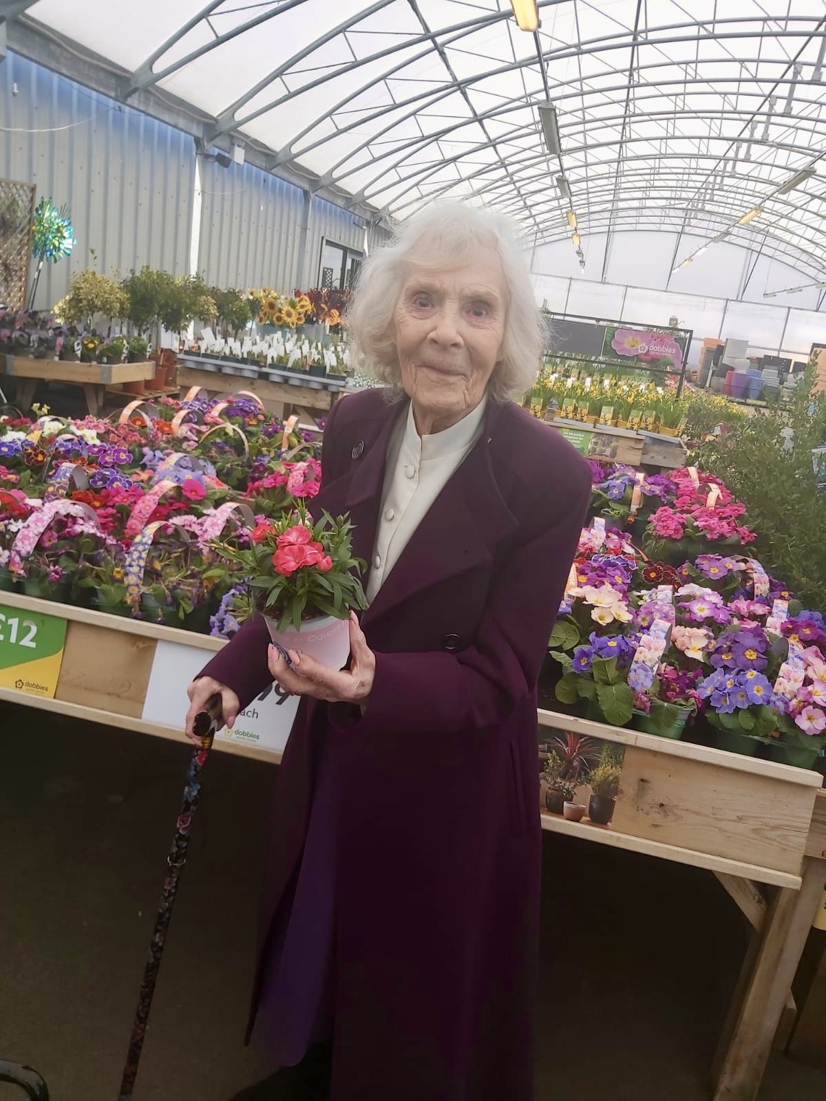 Derby Client, Pauline