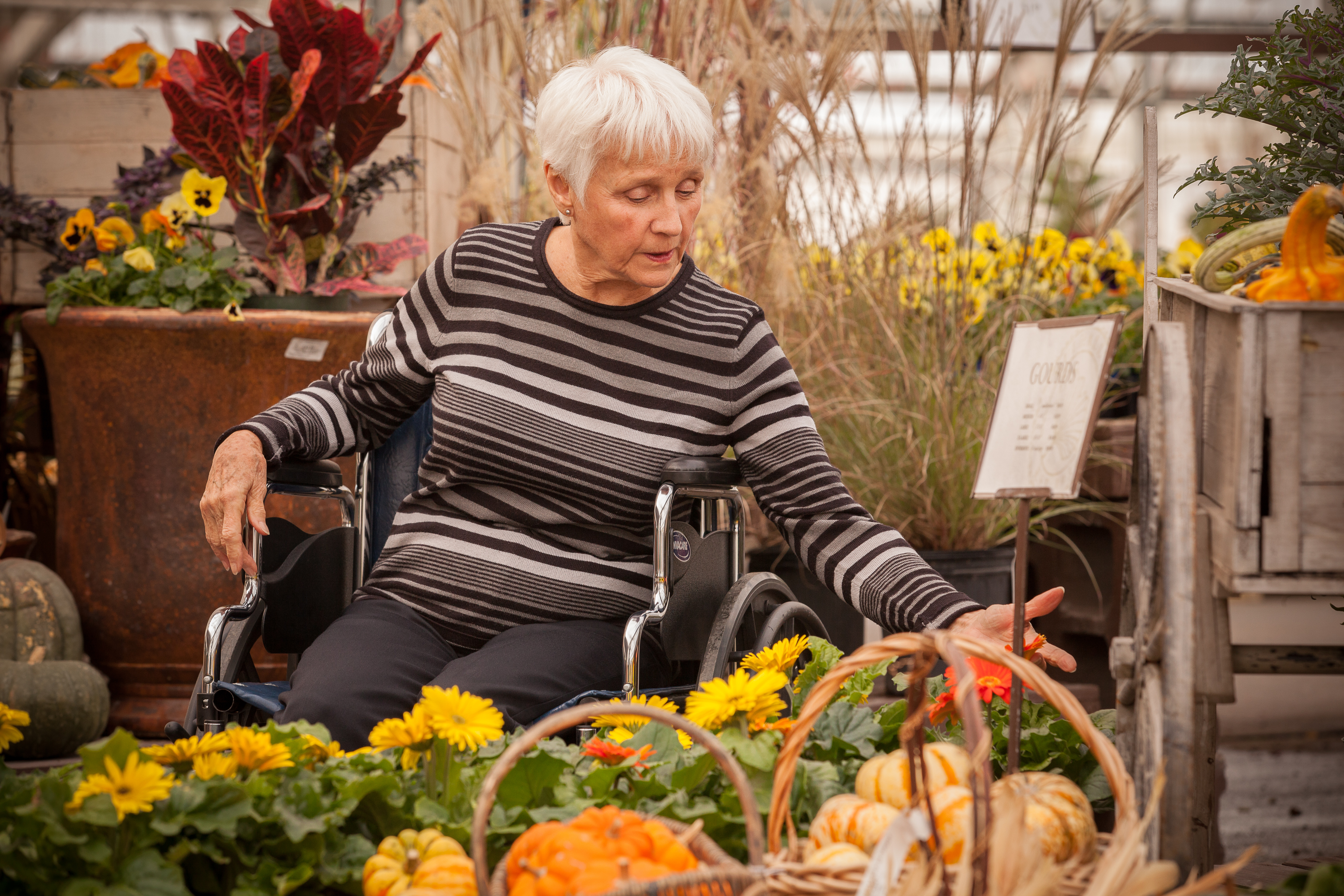 care at home client in garden centre